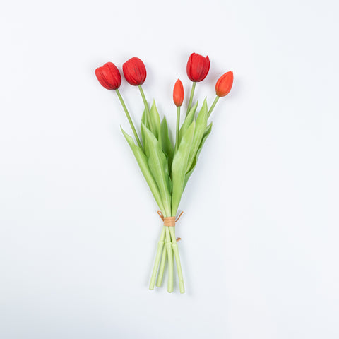 15" SOFT TOUCH TULIP BUNDLE X 5