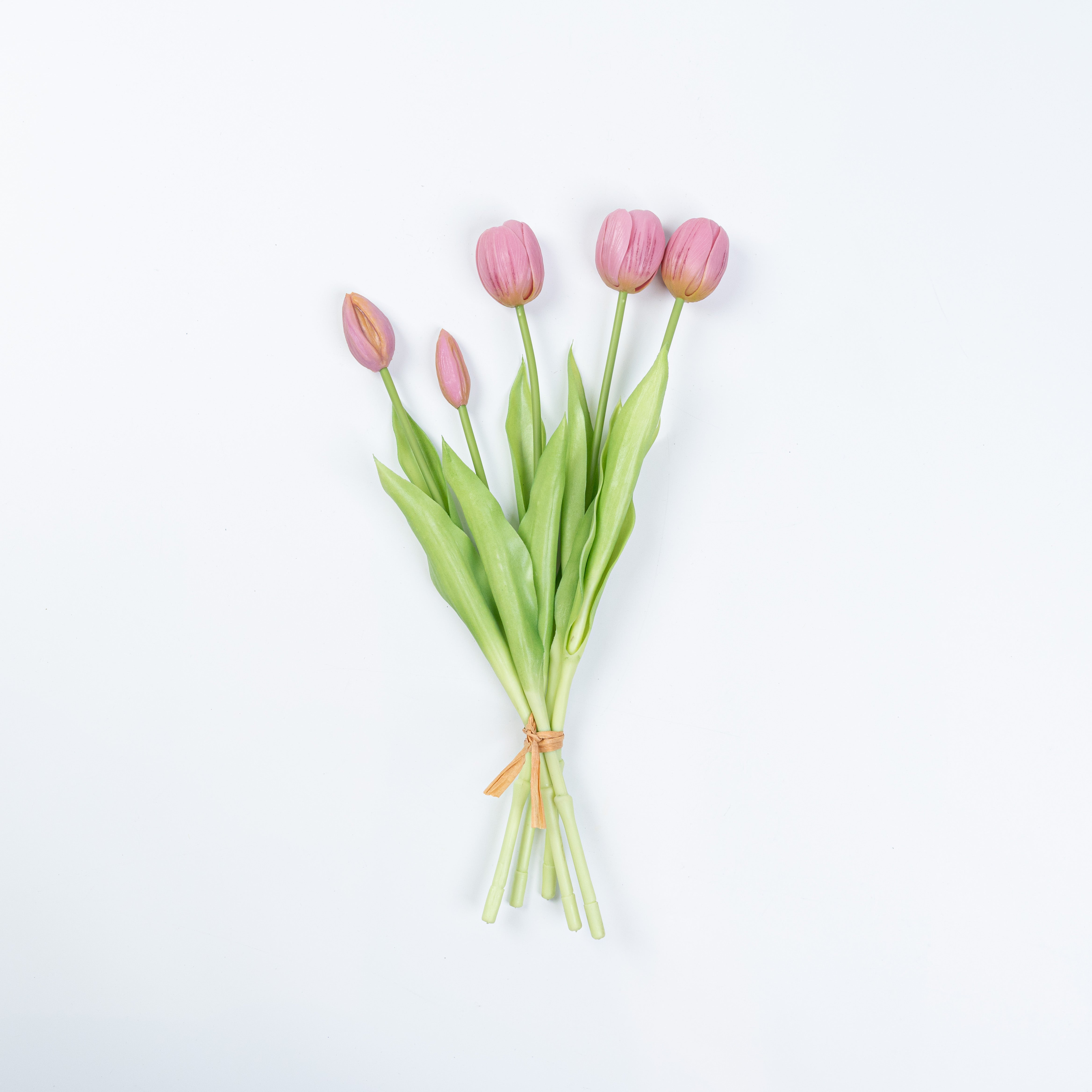 15" SOFT TOUCH TULIP BUNDLE X 5