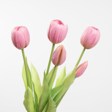 15" SOFT TOUCH TULIP BUNDLE X 5
