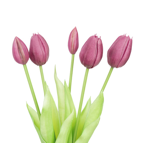 15.5" SOFT TOUCH  TULIP BUNDLE X 5