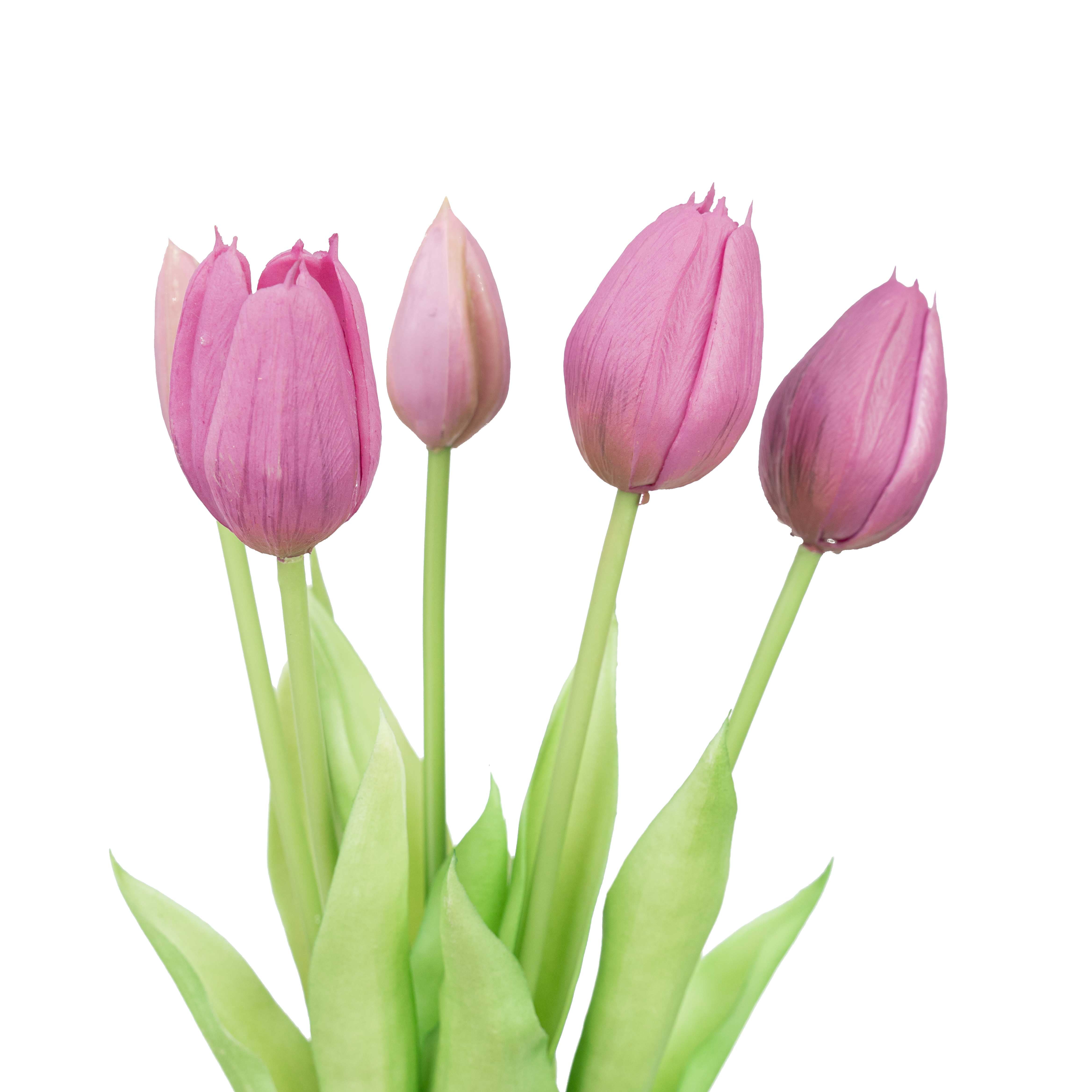 15.5" SOFT TOUCH  TULIP BUNDLE X 5