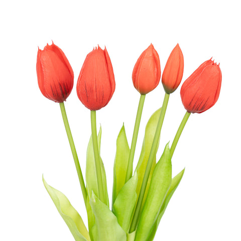 15.5" SOFT TOUCH  TULIP BUNDLE X 5