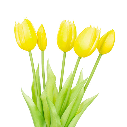 15.5" SOFT TOUCH  TULIP BUNDLE X 5