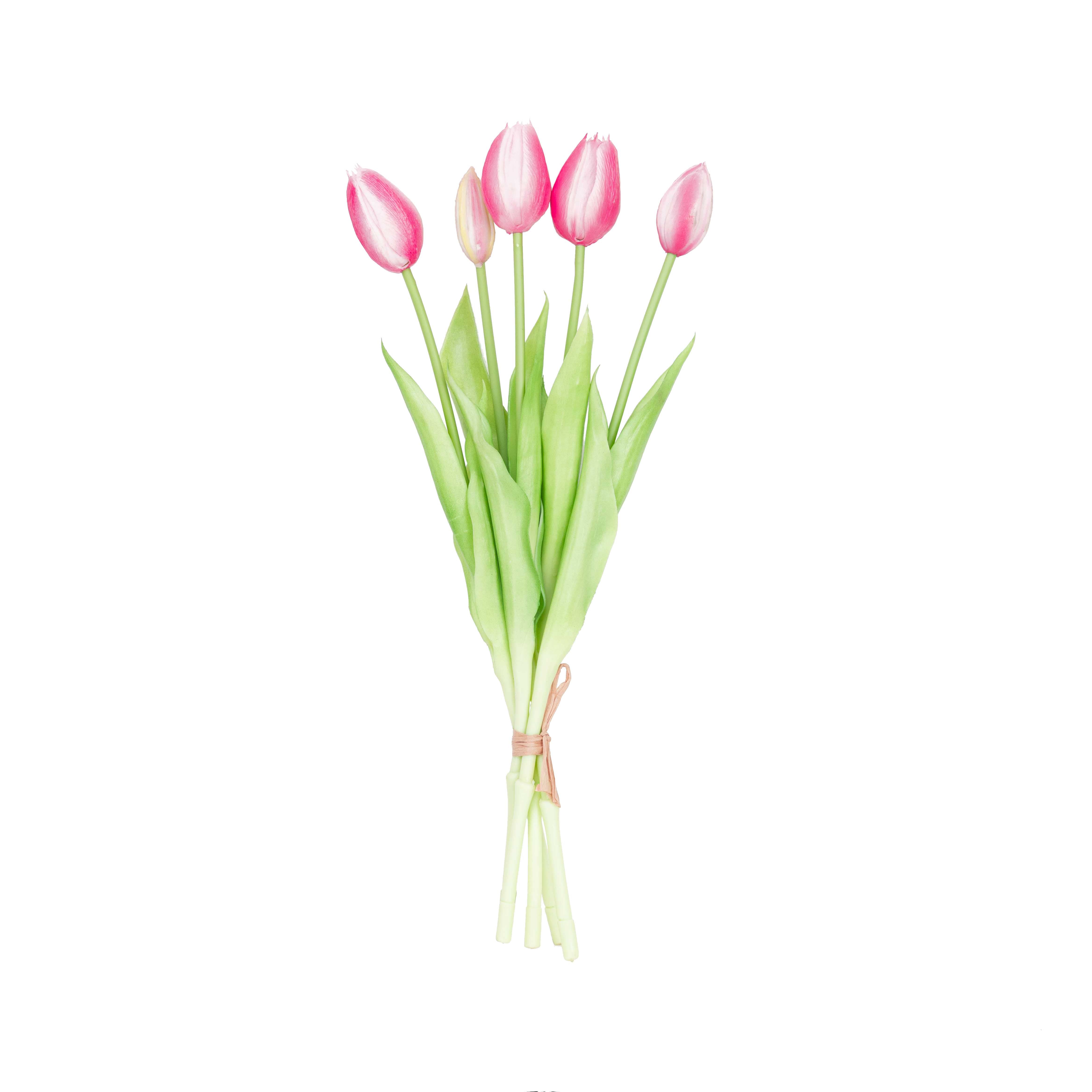 15.5" SOFT TOUCH  TULIP BUNDLE X 5