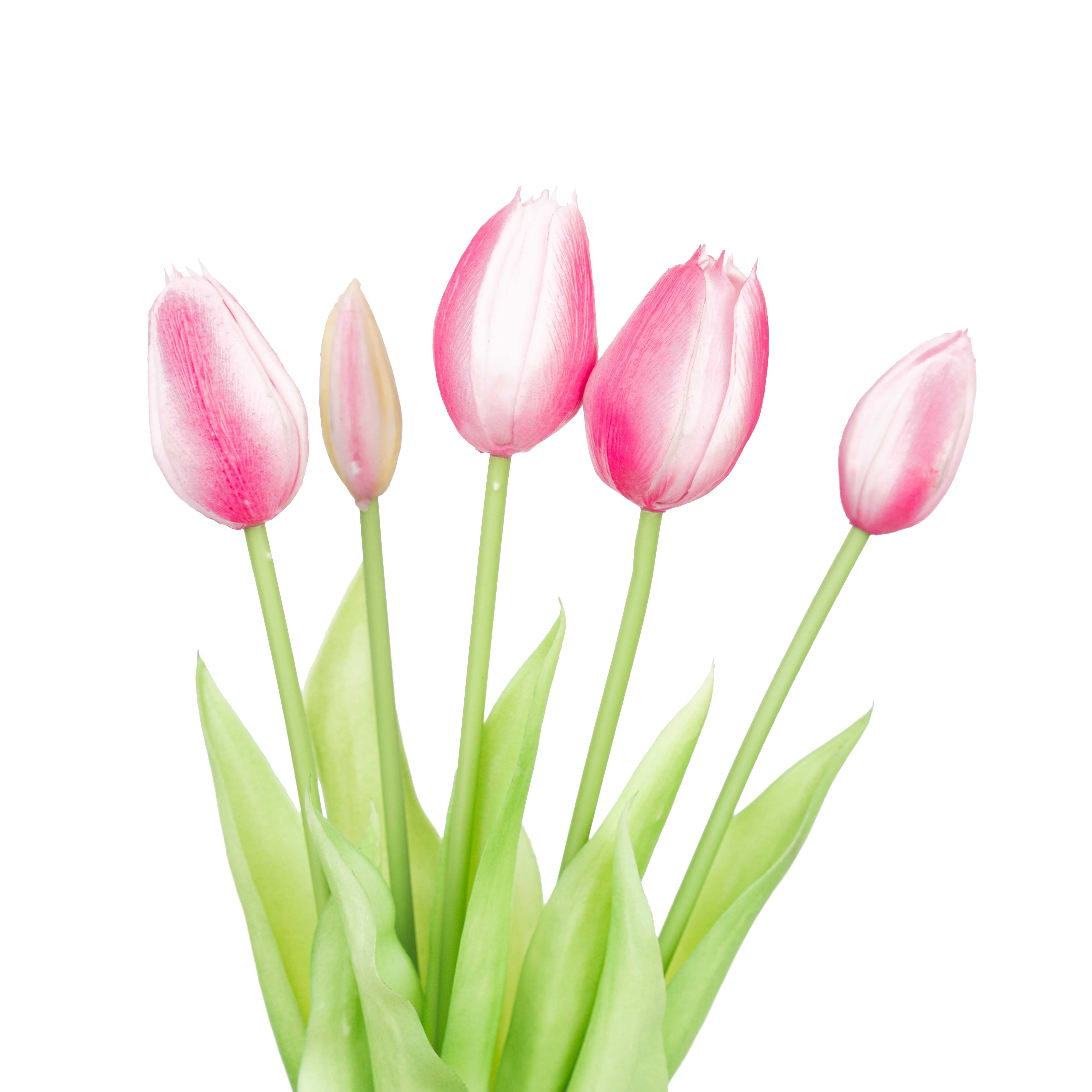 15.5" SOFT TOUCH  TULIP BUNDLE X 5