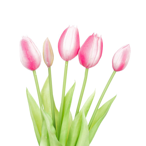 15.5" SOFT TOUCH  TULIP BUNDLE X 5