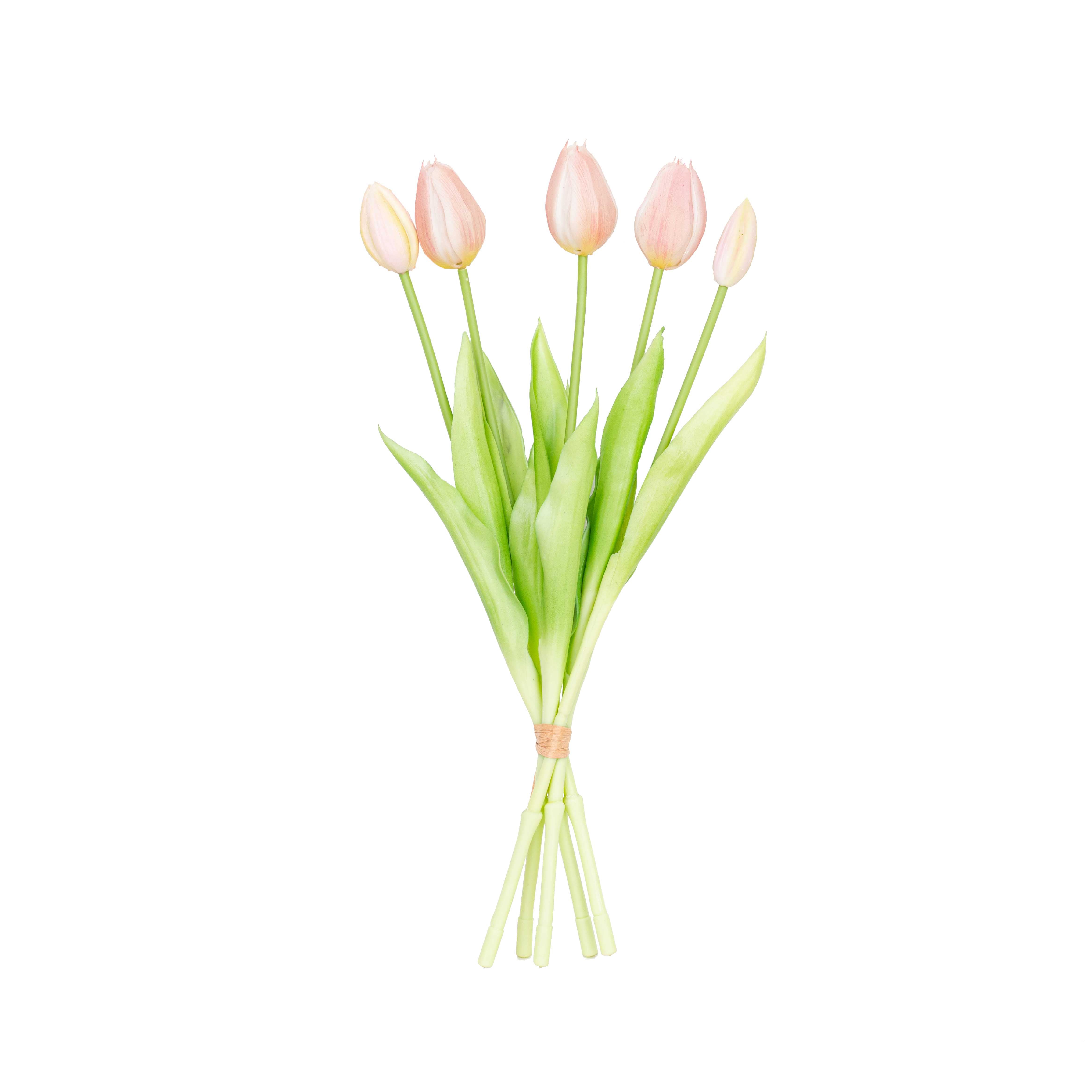 15.5" SOFT TOUCH  TULIP BUNDLE X 5