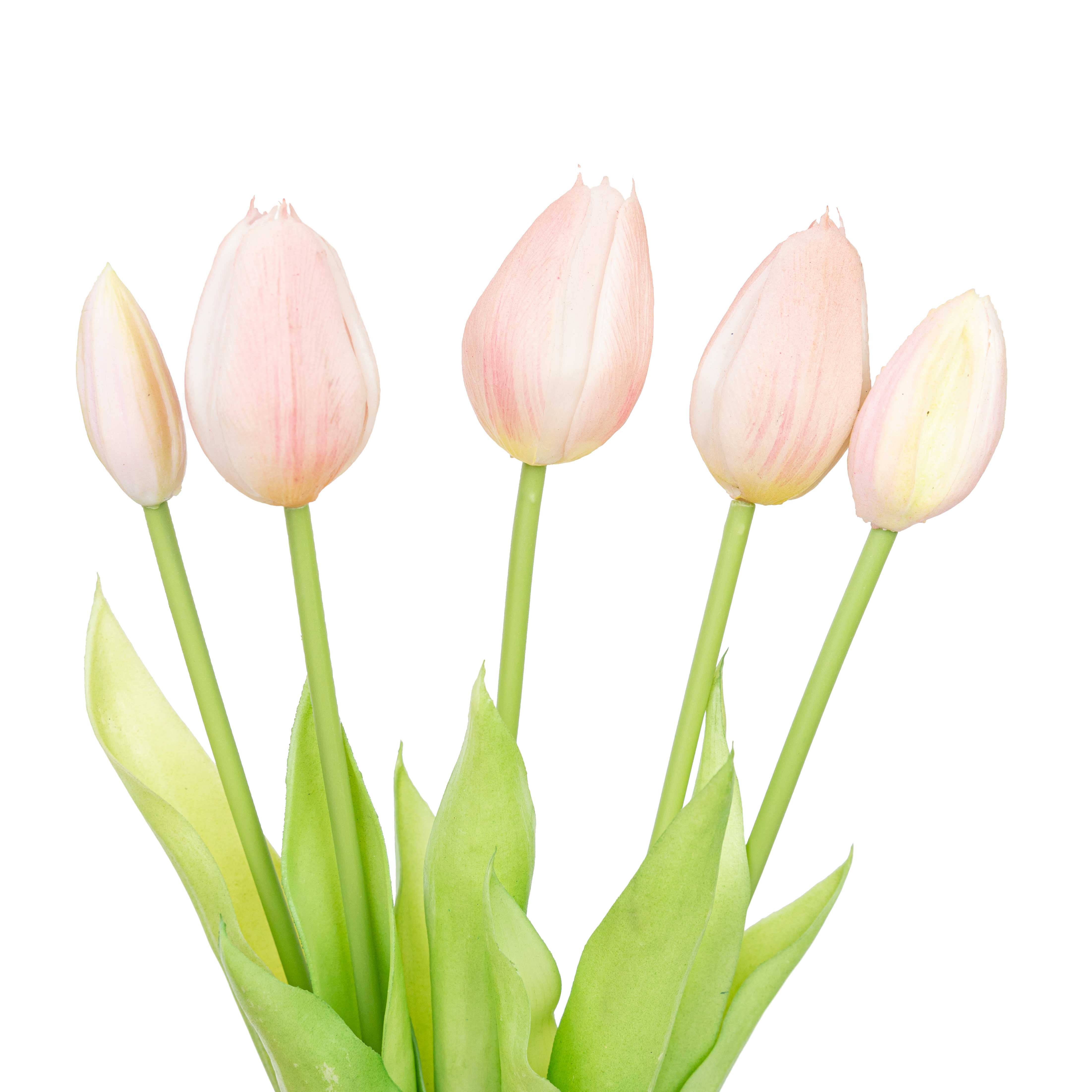 15.5" SOFT TOUCH  TULIP BUNDLE X 5