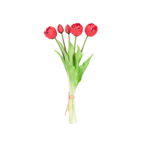 15" SOFT TOUCH DOUBLE LAYER TULIP BUNDLE X 5