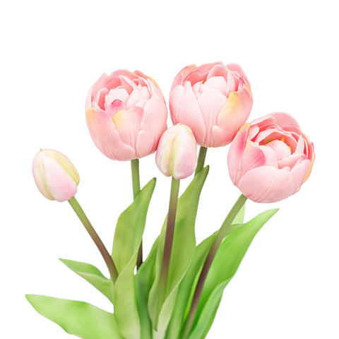15" SOFT TOUCH DOUBLE LAYER TULIP BUNDLE X 5