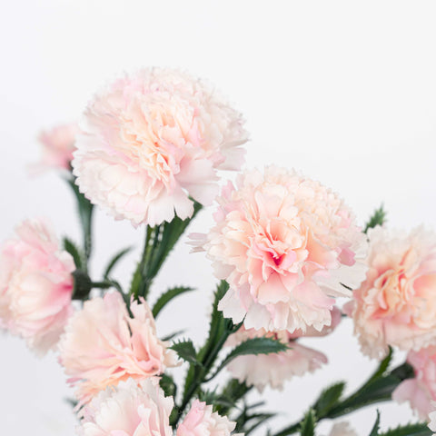 18" CARNATION BUSH X 7