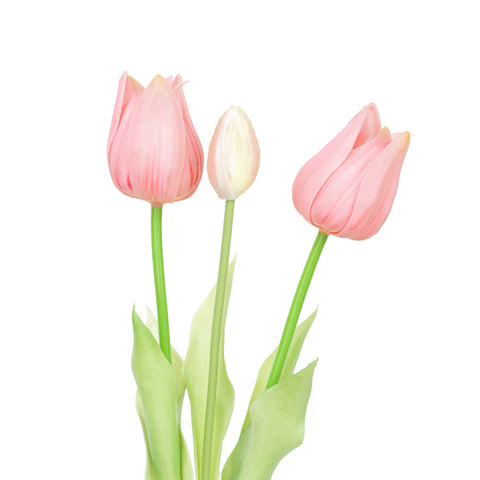17.5" SOFT TOUCH TULIP BUNDLE X 3