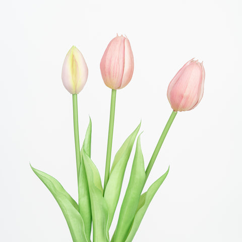 15.5" TULIP BUNDLE X 3