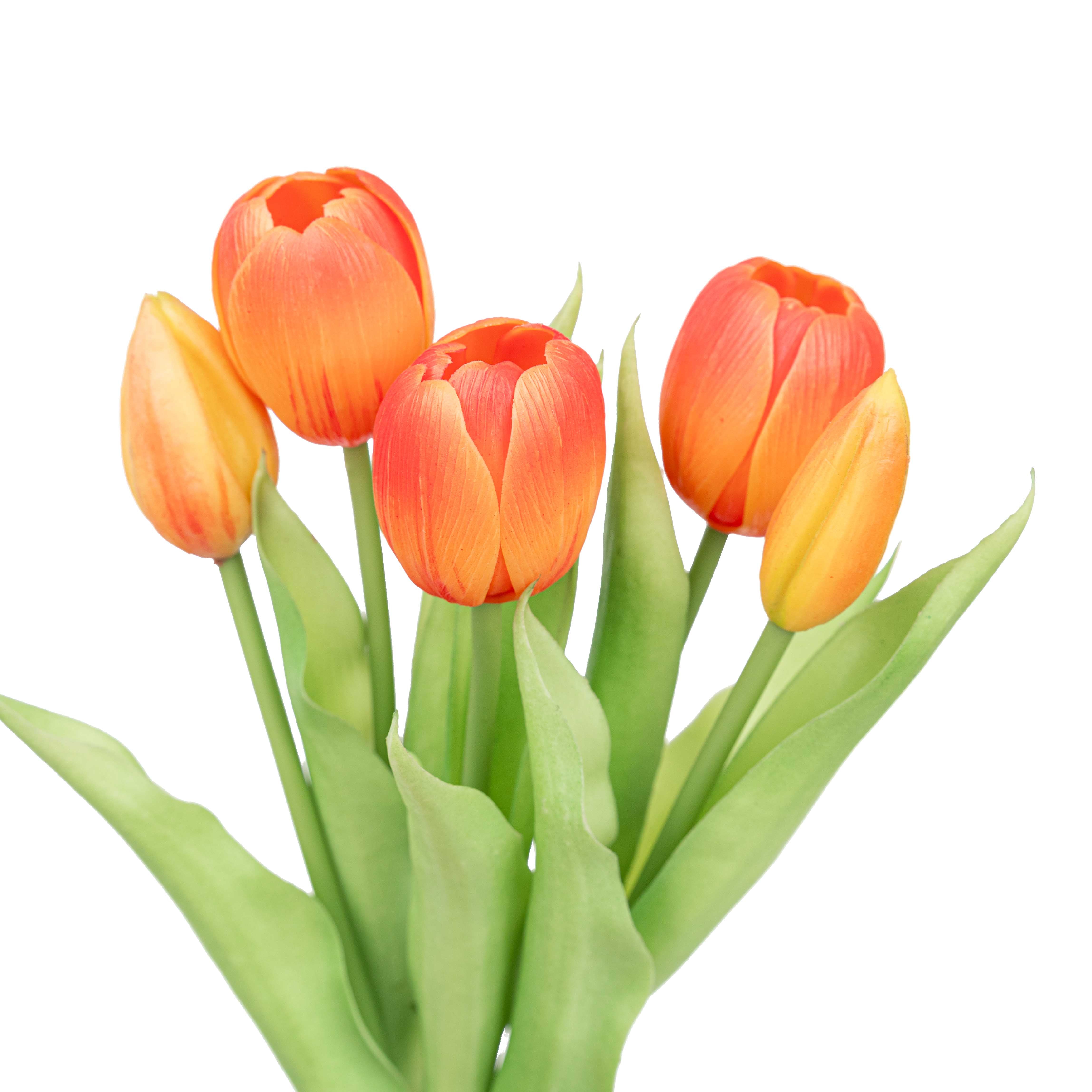 12.5" SOFT TOUCH TULIP BUNDLE X 5