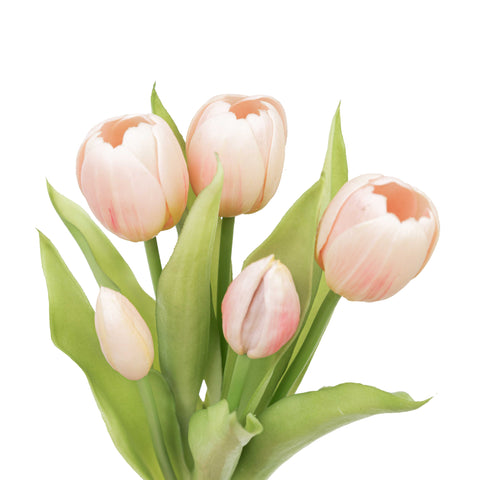12.5" SOFT TOUCH TULIP BUNDLE X 5