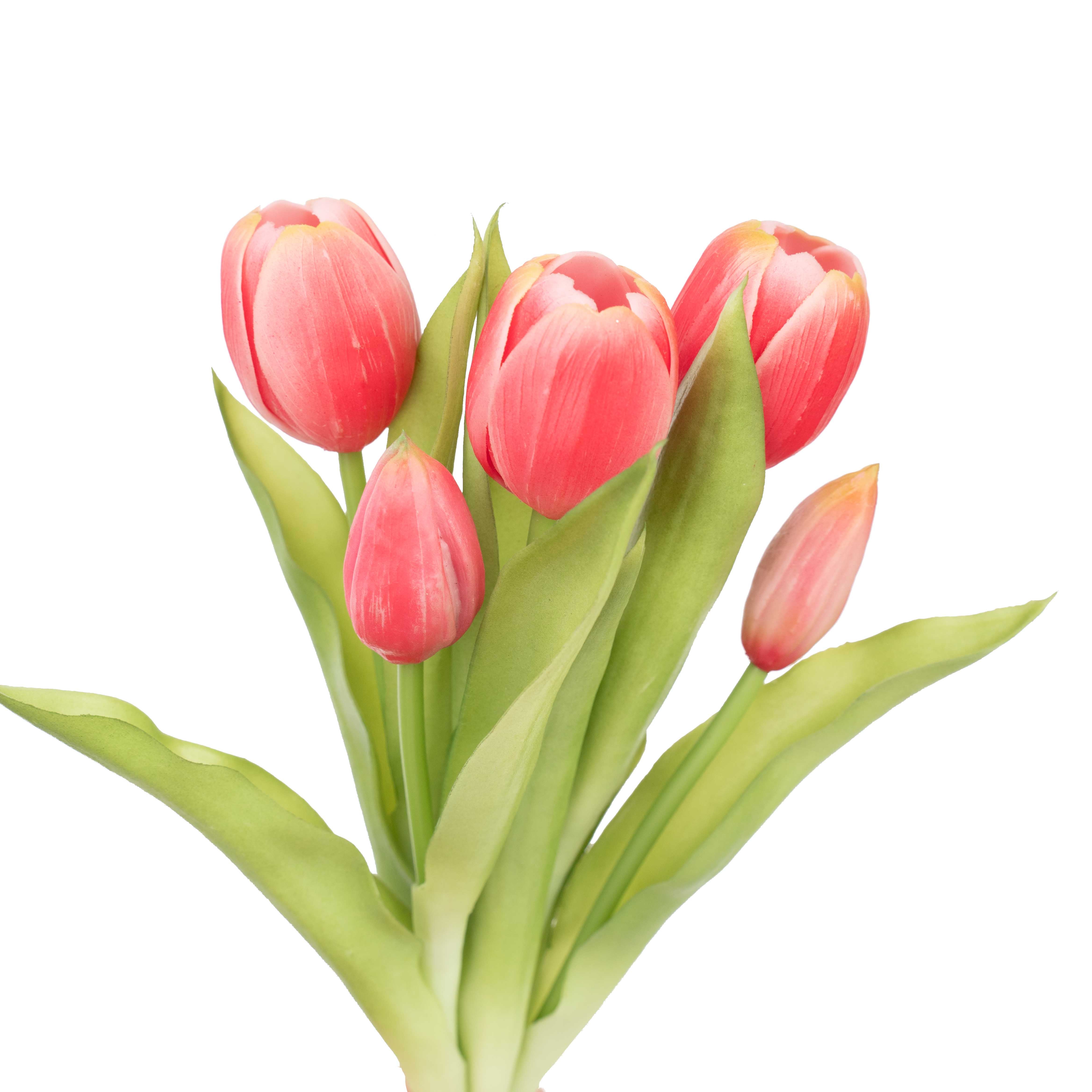 12.5" SOFT TOUCH TULIP BUNDLE X 5