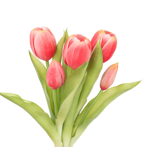 12.5" SOFT TOUCH TULIP BUNDLE X 5