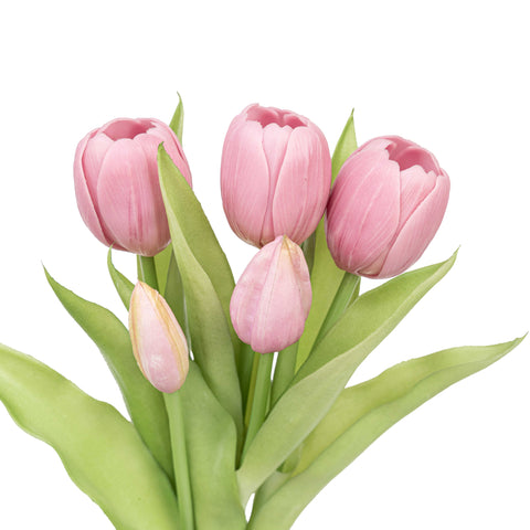 12.5" SOFT TOUCH TULIP BUNDLE X 5