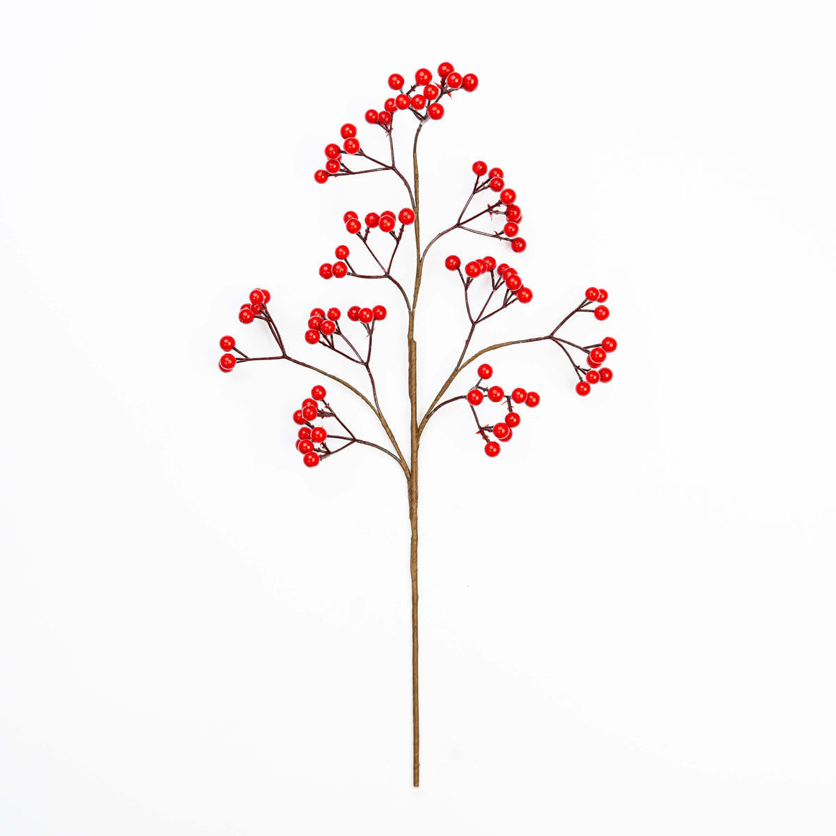 20" BERRY SPRAY X 10