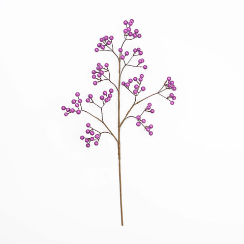 20" BERRY SPRAY X 10