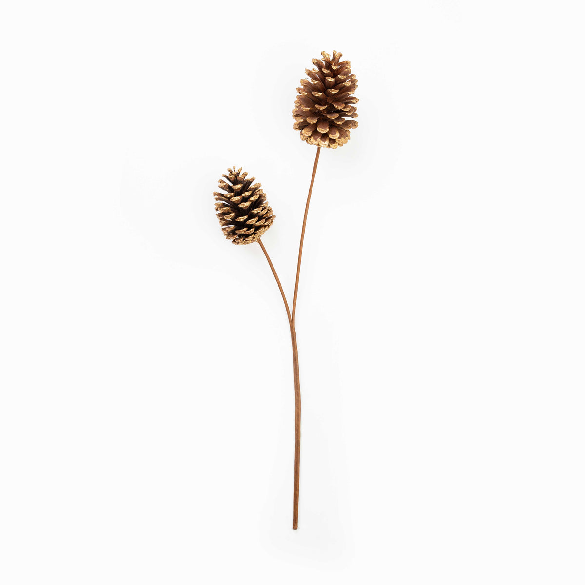 24" PINECONE SPRAY