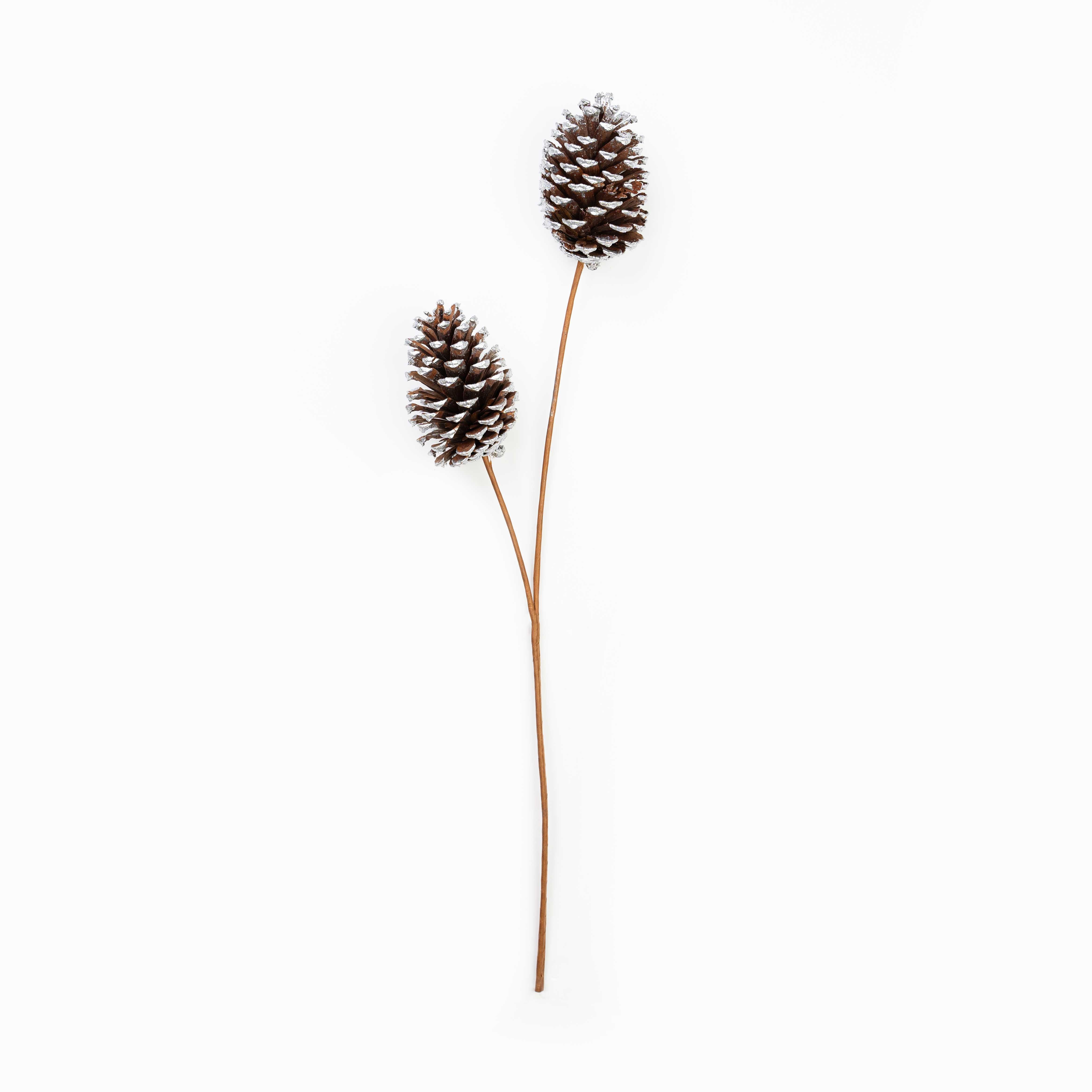24" PINECONE SPRAY