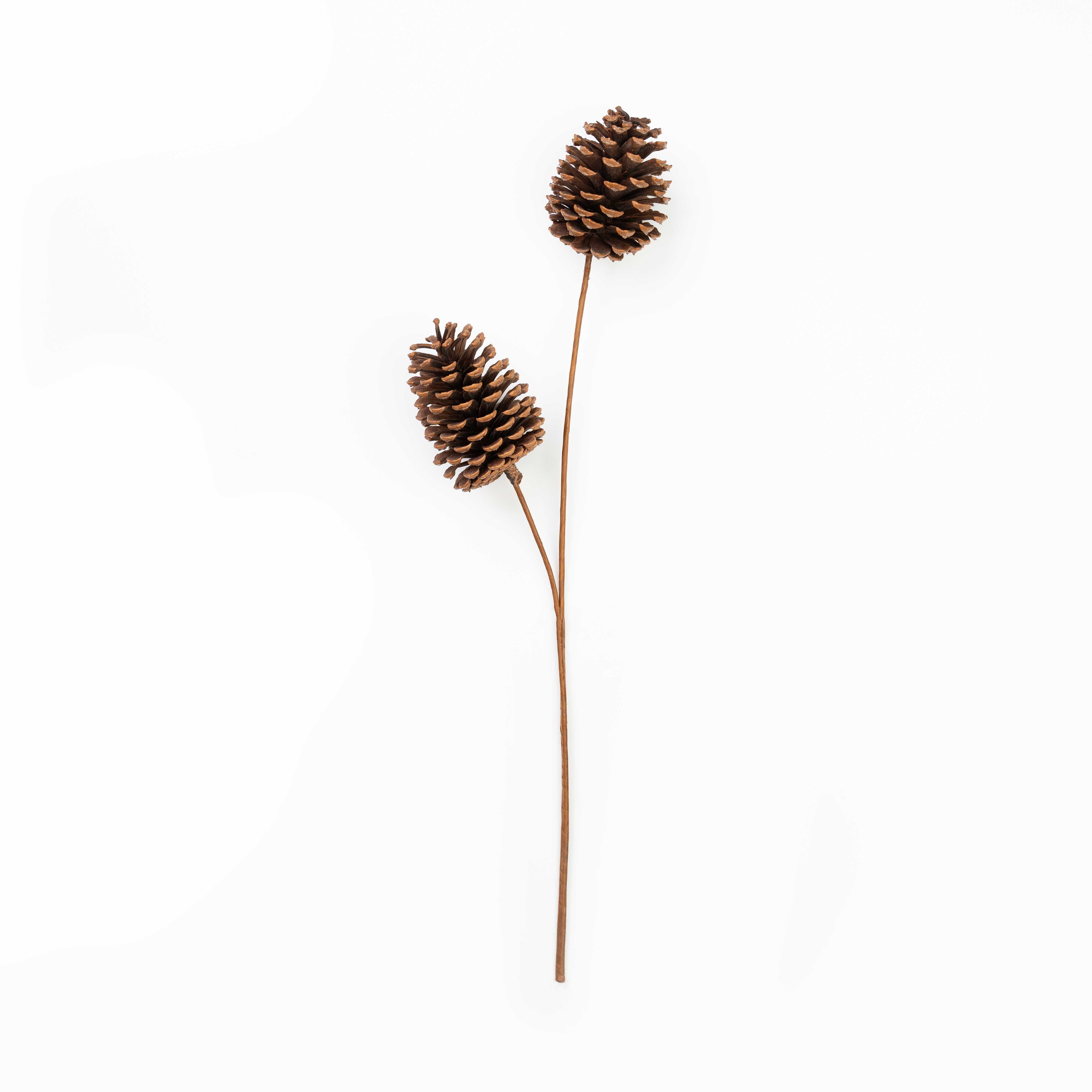 24" PINECONE SPRAY