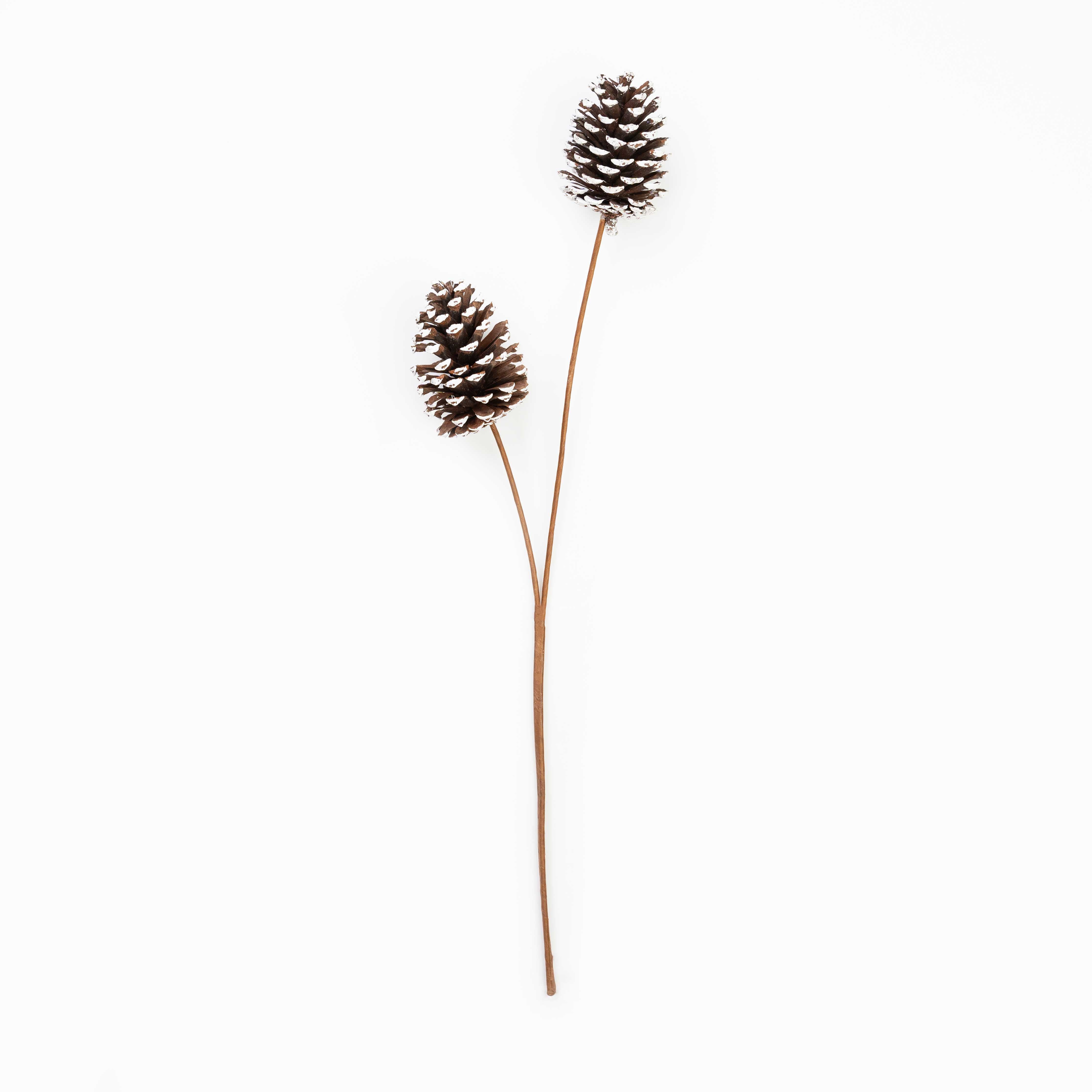 24" PINECONE SPRAY