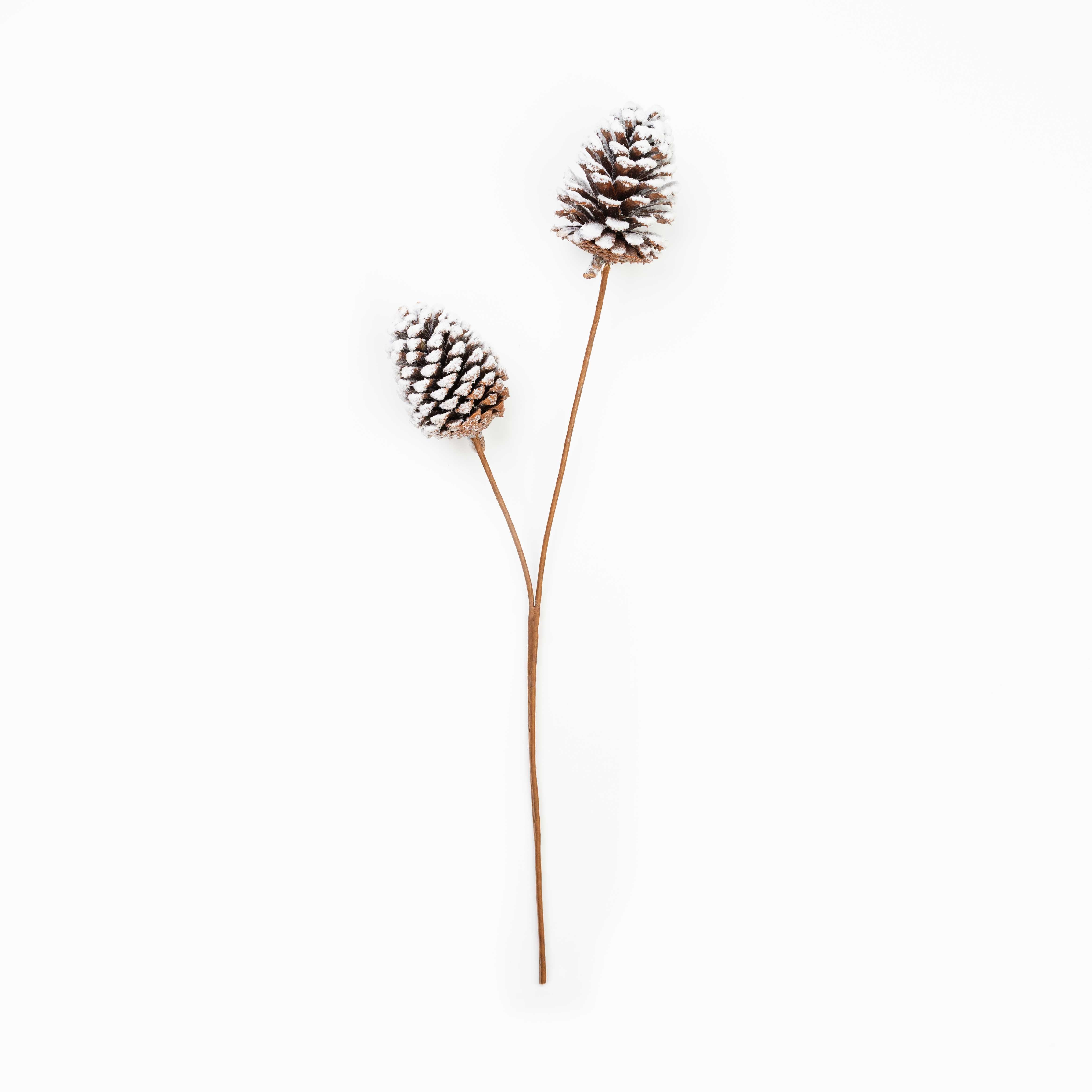 24" PINECONE SPRAY