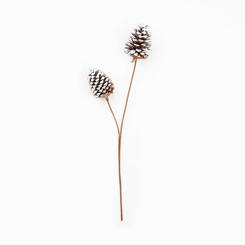 24" PINECONE SPRAY