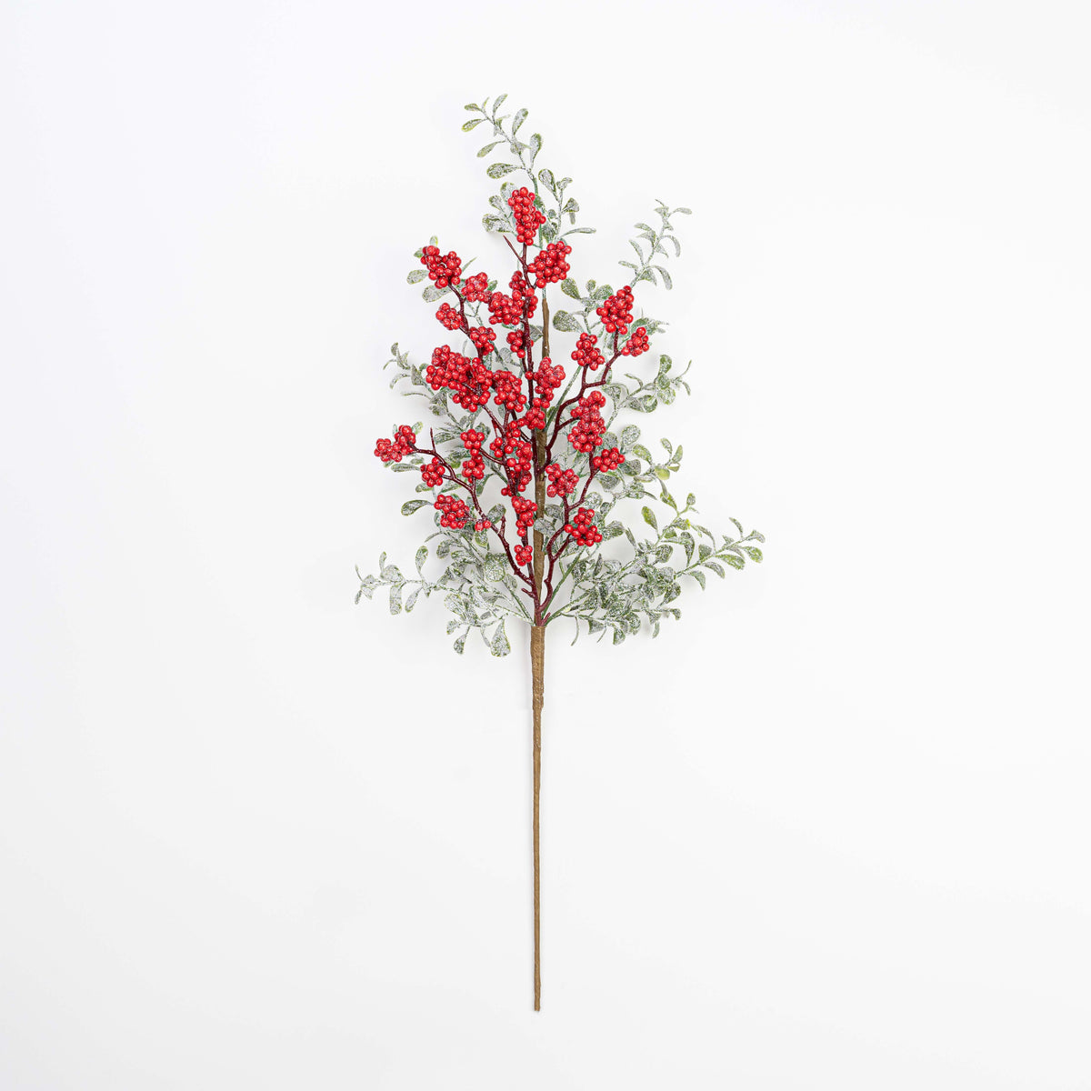 24" FROST BERRY BOXWOOD SPRAY