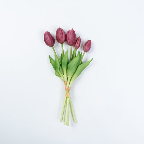12.5" SOFT TOUCH TULIP BUNDLE X 5