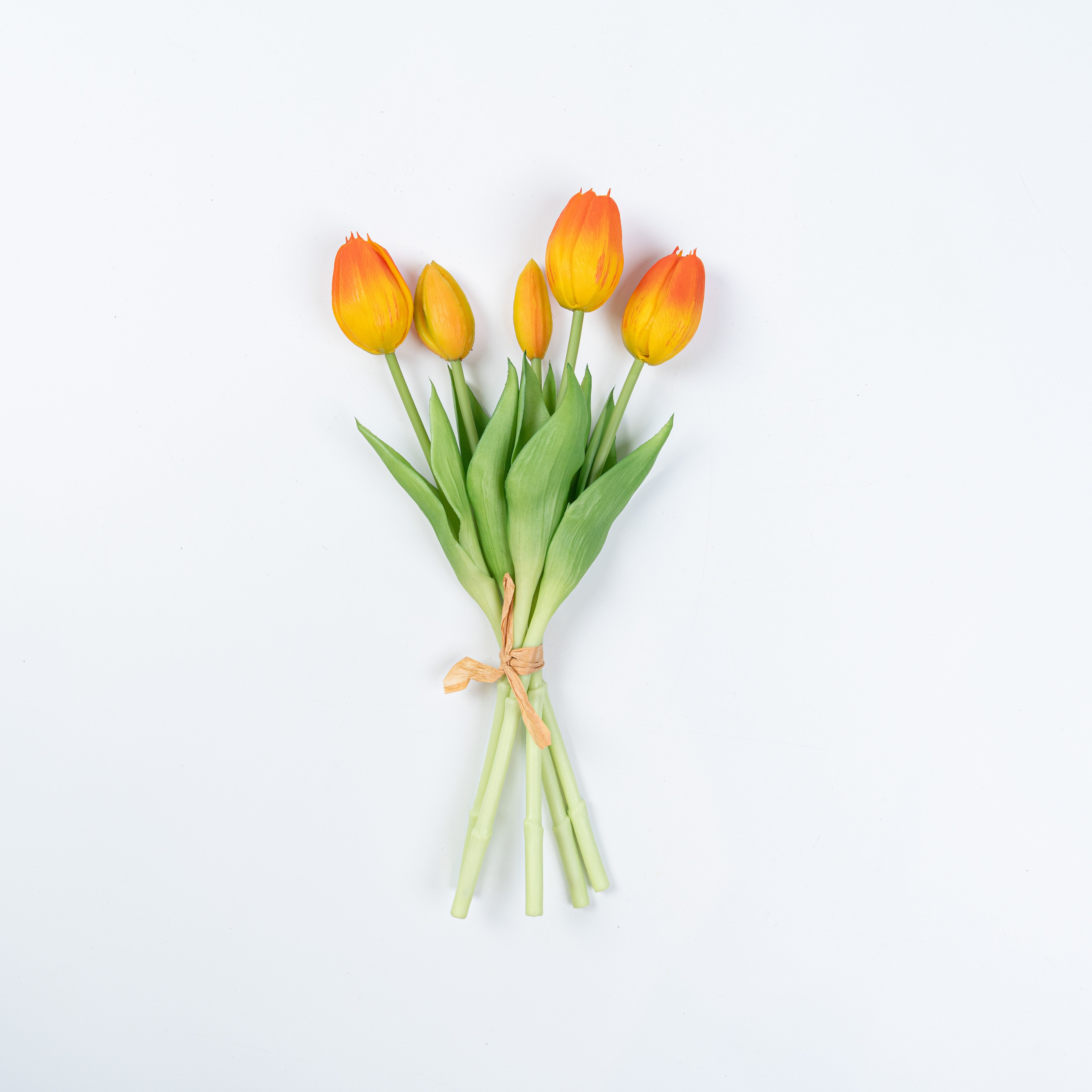 12.5" SOFT TOUCH TULIP BUNDLE X 5