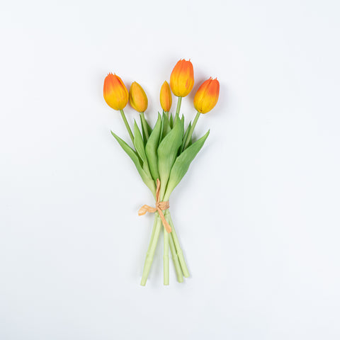 12.5" SOFT TOUCH TULIP BUNDLE X 5