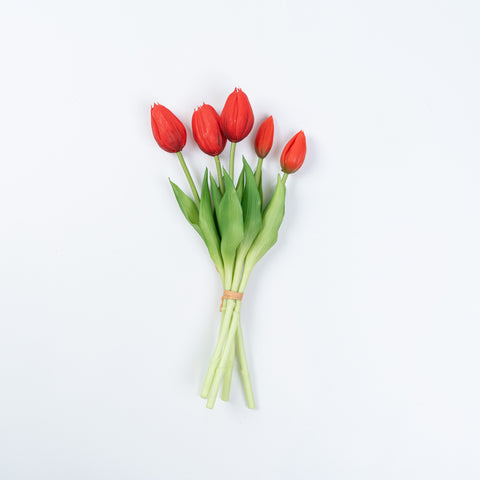 12.5" SOFT TOUCH TULIP BUNDLE X 5