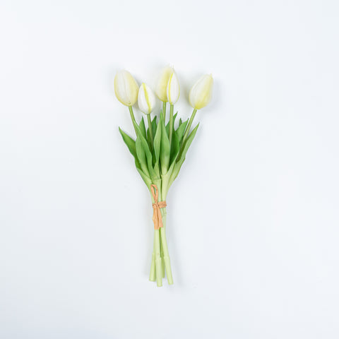 12.5" SOFT TOUCH TULIP BUNDLE X 5