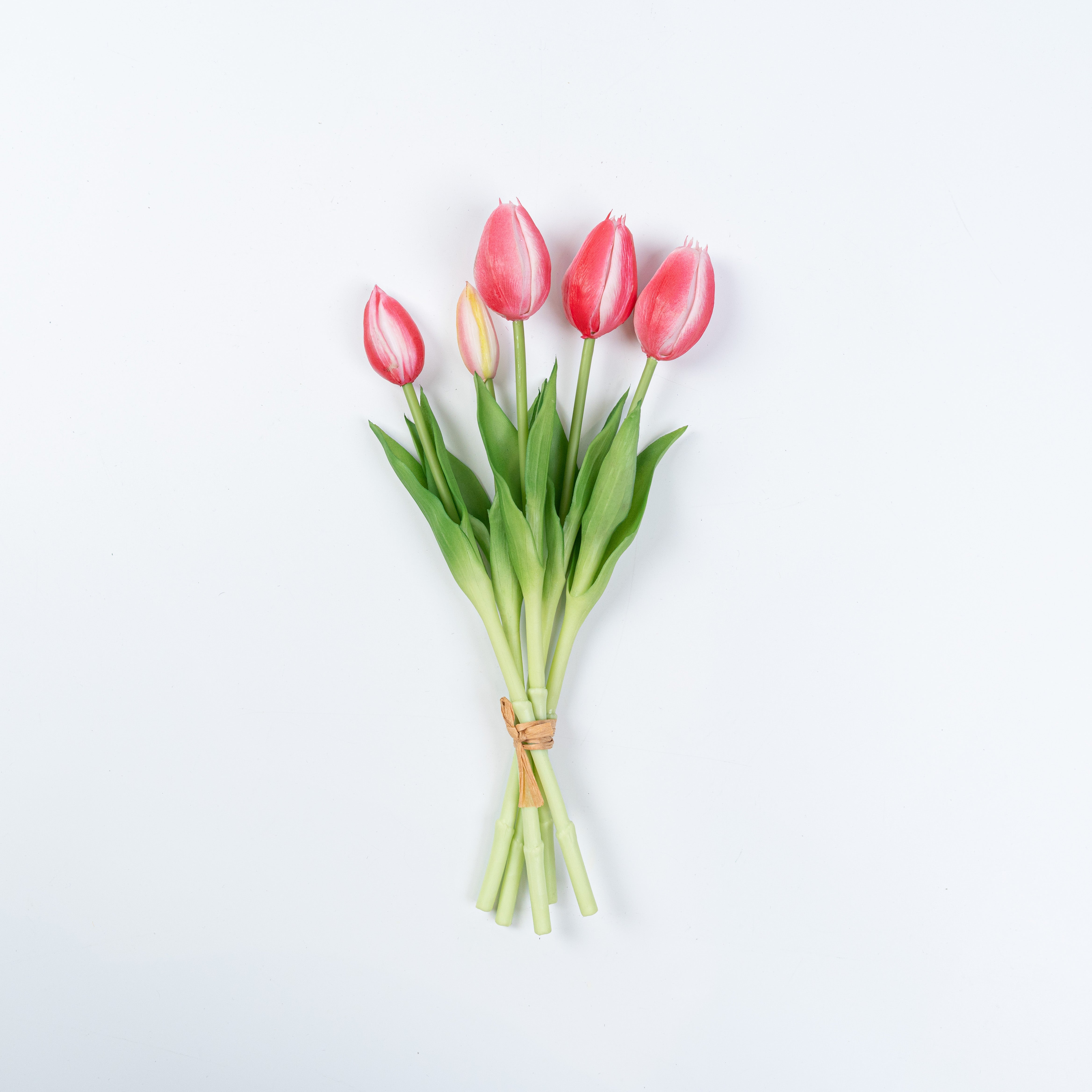 12.5" SOFT TOUCH TULIP BUNDLE X 5