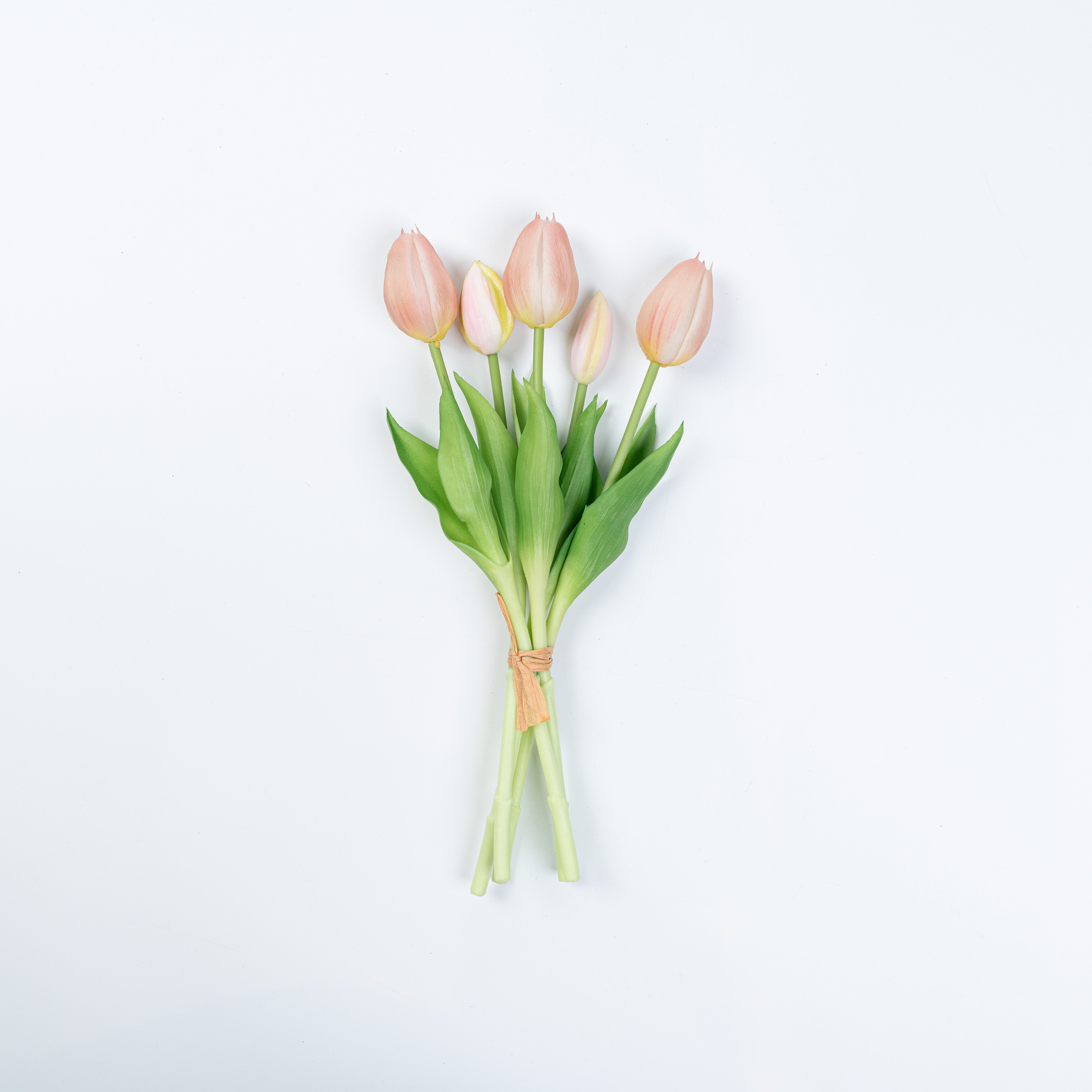 12.5" SOFT TOUCH TULIP BUNDLE X 5