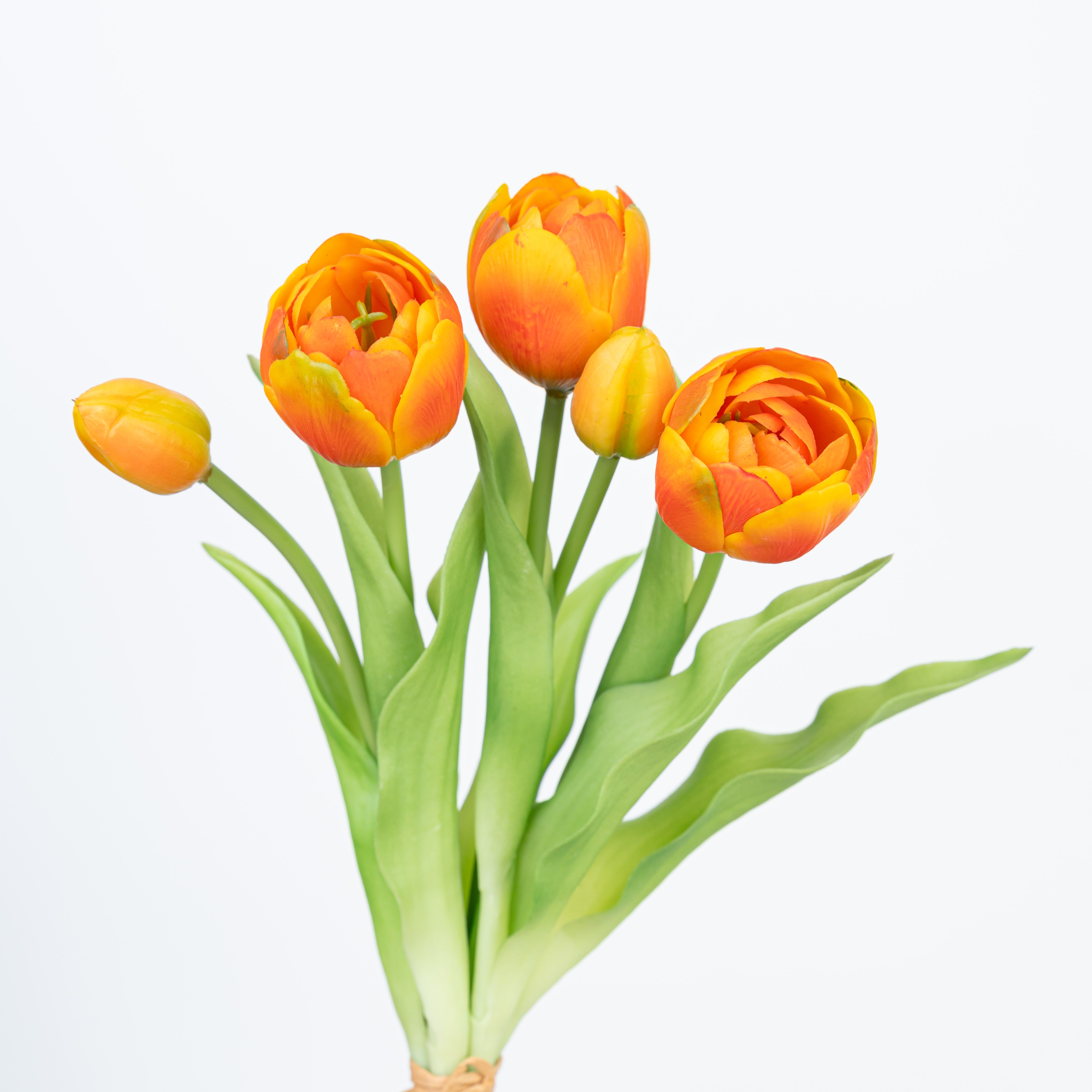 12" SOFT TOUCH DOUBLE LAYER TULIP BUNDLE X 5
