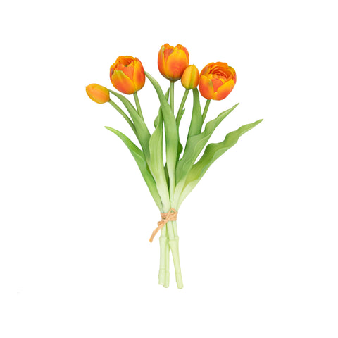 12" SOFT TOUCH DOUBLE LAYER TULIP BUNDLE X 5