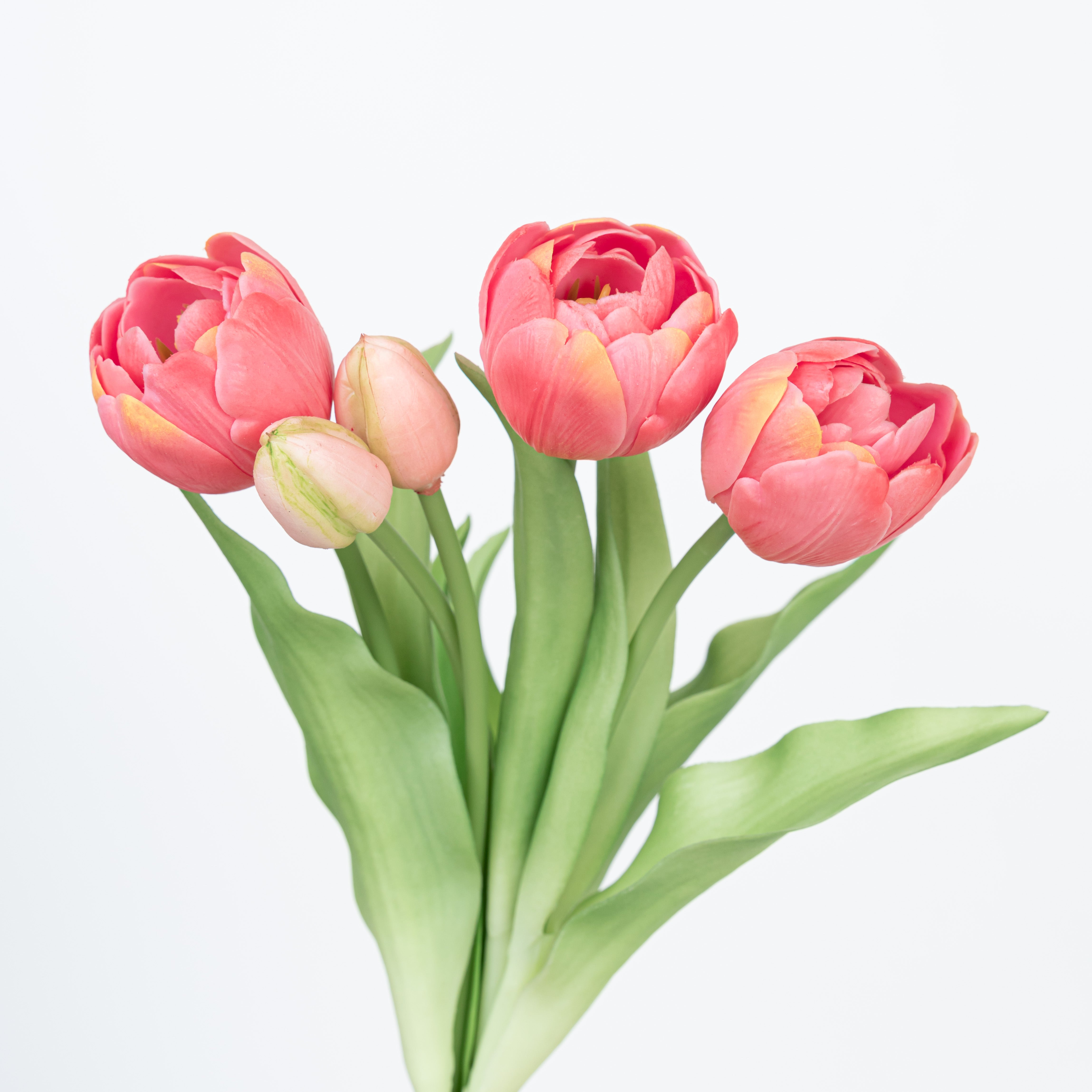 12" SOFT TOUCH DOUBLE LAYER TULIP BUNDLE X 5