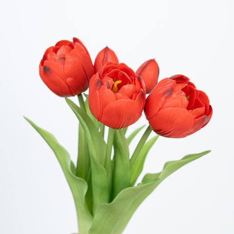 12" SOFT TOUCH DOUBLE LAYER TULIP BUNDLE X 5