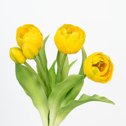 12" SOFT TOUCH DOUBLE LAYER TULIP BUNDLE X 5
