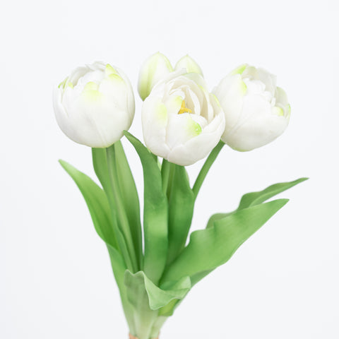 12" SOFT TOUCH DOUBLE LAYER TULIP BUNDLE X 5