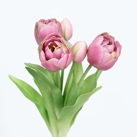 12" SOFT TOUCH DOUBLE LAYER TULIP BUNDLE X 5