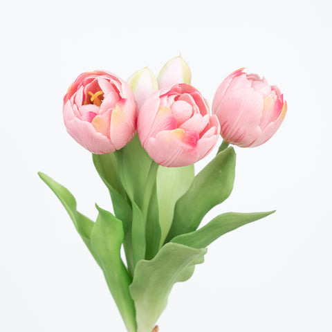 12" SOFT TOUCH DOUBLE LAYER TULIP BUNDLE X 5